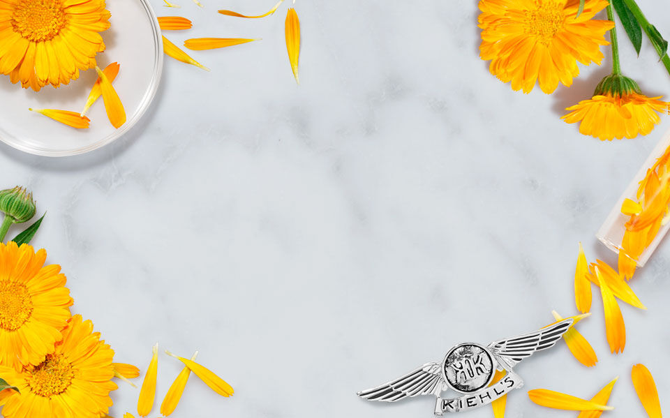 beneficios-multimilagrosos-de-la-calendula-1