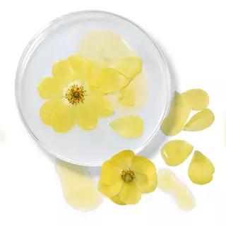 ingredient-glossary-18