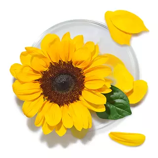 ingredient-glossary-14