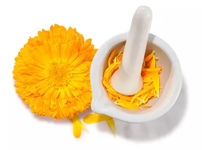 beneficios-multimilagrosos-de-la-calendula-2