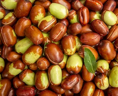 Ingrediente de Kiehl’s Manteca de Jojoba