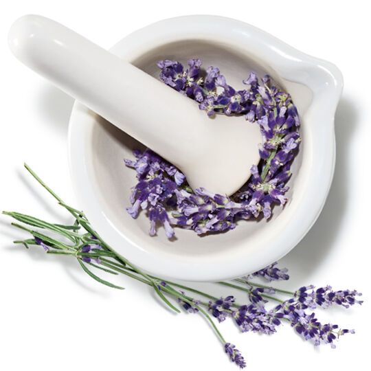 ingredient-glossary-2