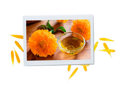 beneficios-multimilagrosos-de-la-calendula-5
