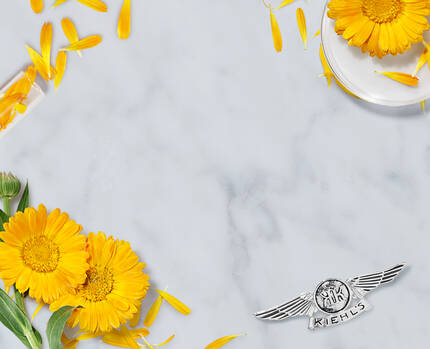 calendula-serum-infused-water-cream-1