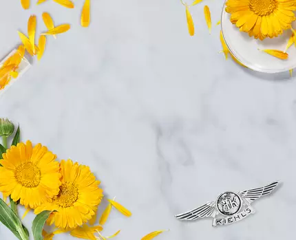 calendula-serum-infused-water-cream-1