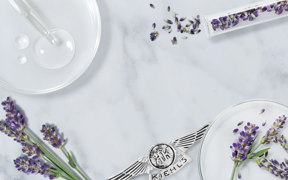 beneficios-del-aceite-esencial-de-lavanda-1