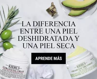 La diferencia entre la piel seca y la deshidratada, Mas informacion