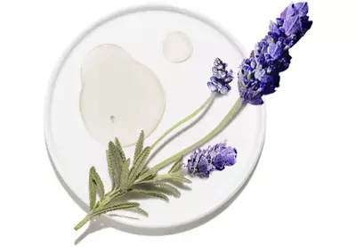 beneficios-del-aceite-esencial-de-lavanda-2