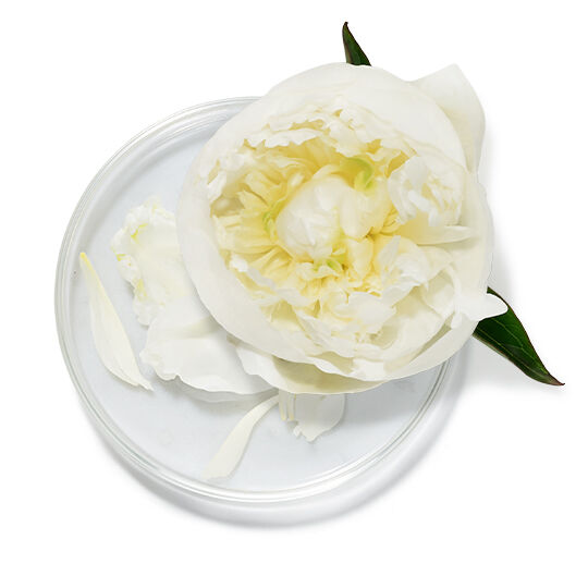 ingredient-glossary-15