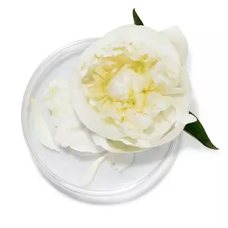 ingredient-glossary-15