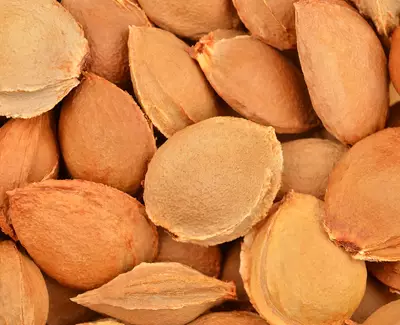 Ingrediente Kiehl’s Aceite de Semilla de Albaricoque