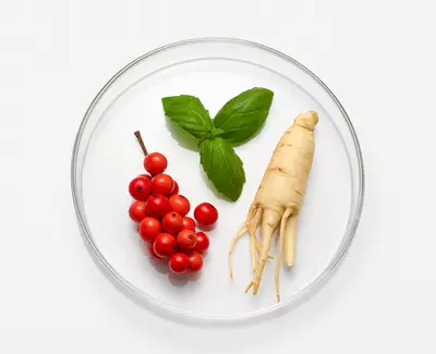 Ingrediente de Kiehl’s Complejo Herbal Adaptogenico
