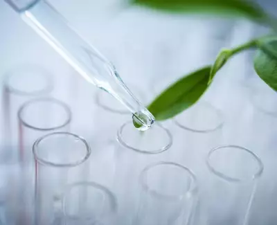 Ingrediente de Kiehl’s Mezcla Botanica