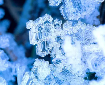 Ingrediente de Kiehl’s Glucoproteina Glacial